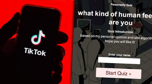The ‘Human Emotion’ quiz is going viral on TikTok 